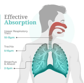 ORNAVO Portable Mesh Nebulizer