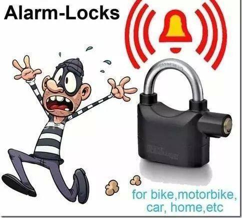 🔥 High-security Anti-Theft Alarm Lock (Imported)
